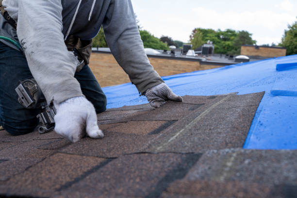 Roof Moss and Algae Removal